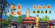 巨屌综合江苏无锡灵山大佛旅游风景区