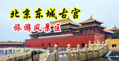 想看想看老女人日逼免费直接看不下载中国北京-东城古宫旅游风景区